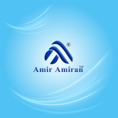Amir Amiran