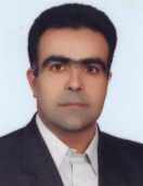 Seyed Amin Hosseini Seno