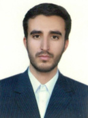 سیدمحمدرضا حسینی نژاد ماهانی