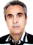 M.Hossein Najafimood
