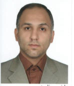 Seyed Hossein Mirjafari
