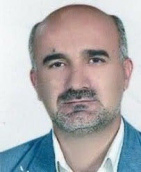 Seyed Mohammad Mirkamali