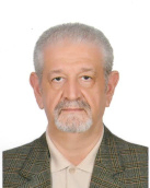 Ali Lavafan