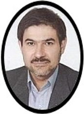 Amir Hossein Davaee Markazi