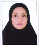 Shadi Shahverdini PhD