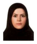 Somayeh Karimpour