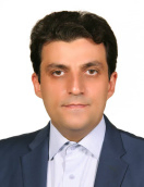 Seyed Hamid Reza Aghamiri