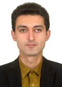 Mohammad Hossein Zalnezhad