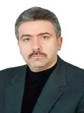 Seyed Mostafa Hosseinalipoor