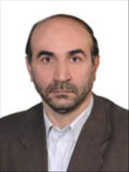 SeyedAhmad Hosseini