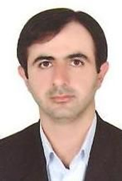 Seyed Mohammad Mousavi Gazafrudi
