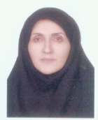 Naeimeh Seyed-Fatemi