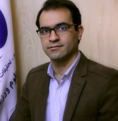 Mohammadreza Seyedi