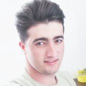 Danial Pourmohammadi