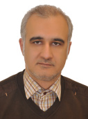 Hamed Hashemi Mehne