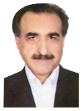 Hasan Sadighi
