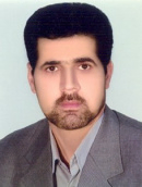 Mojtaba Hasanzadehdelouei