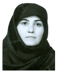 Fatemeh soghra Karami tehrani