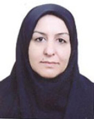 Marzieh Razavizadeh