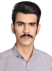 Mohammad saeid Kiani