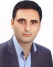 Reza Dehghani Bidgoli