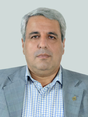 Seyed Javad Emami