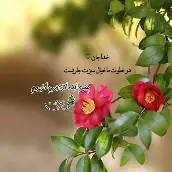 معصومه نوروزی نژاد