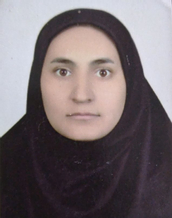 Fateme Akhavan Jafar Abadi