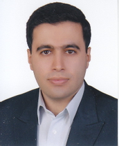 Seyed Amir Hossein Seyed Mousavi