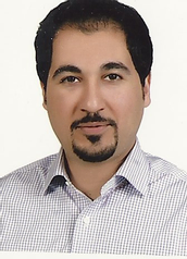 Seyed Hossein Siadat