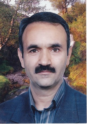 Hasan Shahgholian