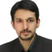 Saeed Amir