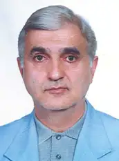Seyed Mansour Khalili Araghi