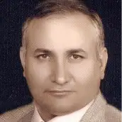 Majid Salehinia