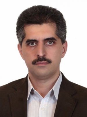 Seyed Amir Hossein Zamzamian