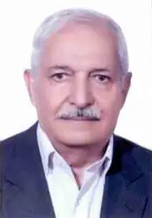 Mohammad Hossein Daie Parizi