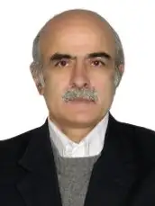 Hossein Ashori