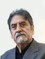 Mahdi Nouriyan