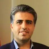 Seyed Mojtaba Hosseini nasab