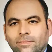 Hamid Babaei