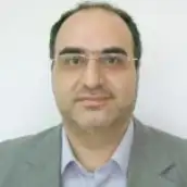 Seyed Amir Hamzeh Niakoohi