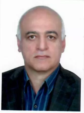 Mohammadreza Amirseifadini