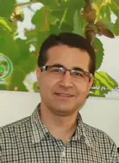 Mehdi Pourhashemi