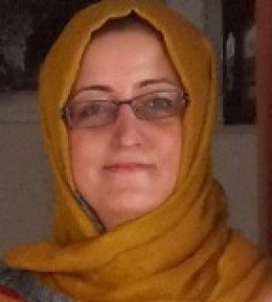 Maryam Navi