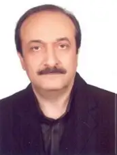 Shahrokh Ghaemmaghami